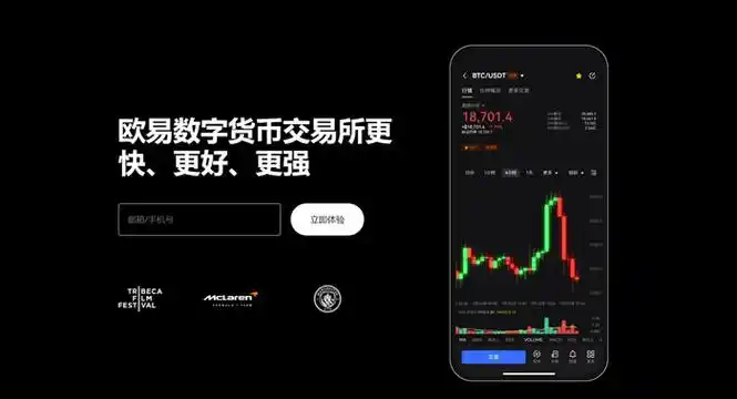 ouyi交易所网站下载页面展示